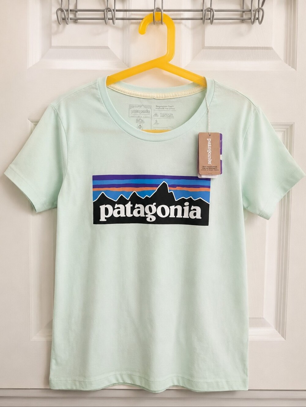Patagonia Kids Mint Green Logo Mountain Tee